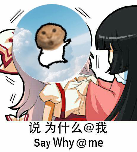 meme why_at_me